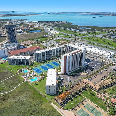 1204 Saida I - Beach Front South Padre Island Eksteriør bilde